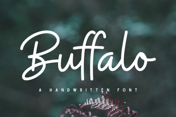 Download Buffalo - Buffalo Collection