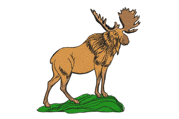 Download Wild Buffalo - Buffalo Collection
